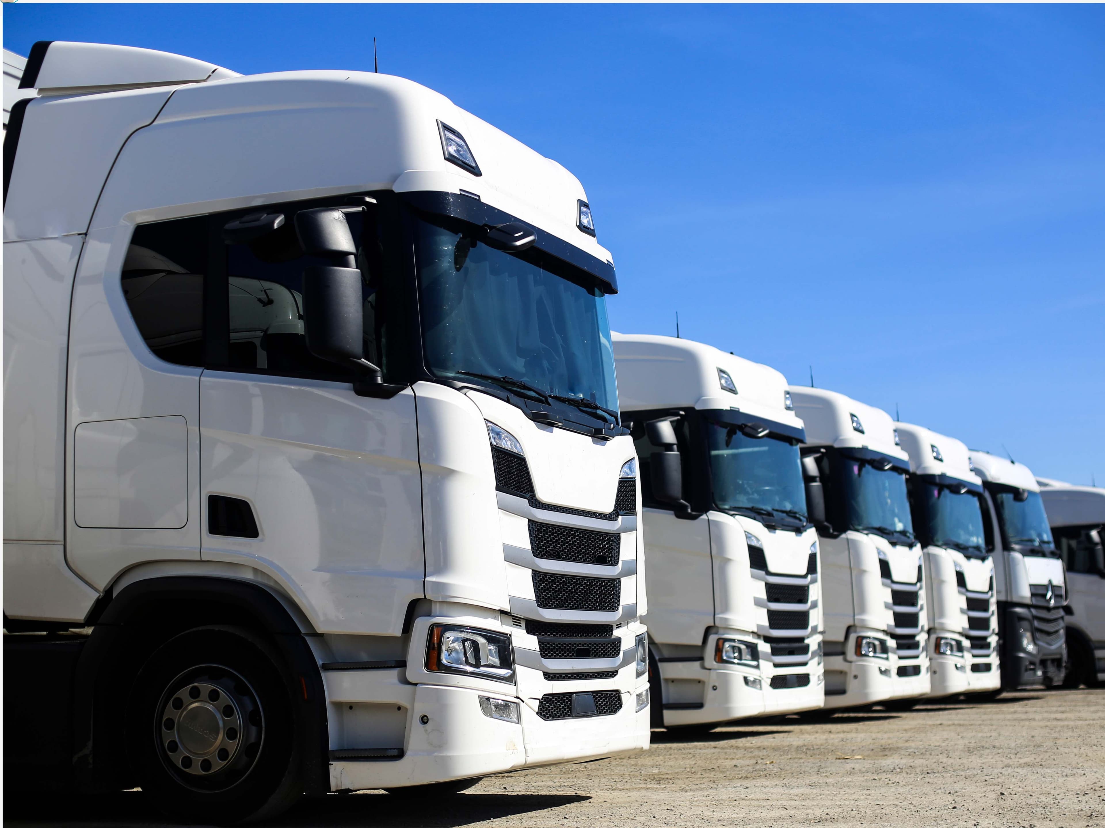 Logo REIS TRANSPORTE