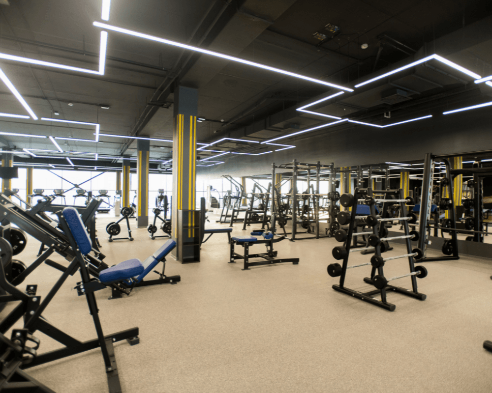 Logo AF FITNESS