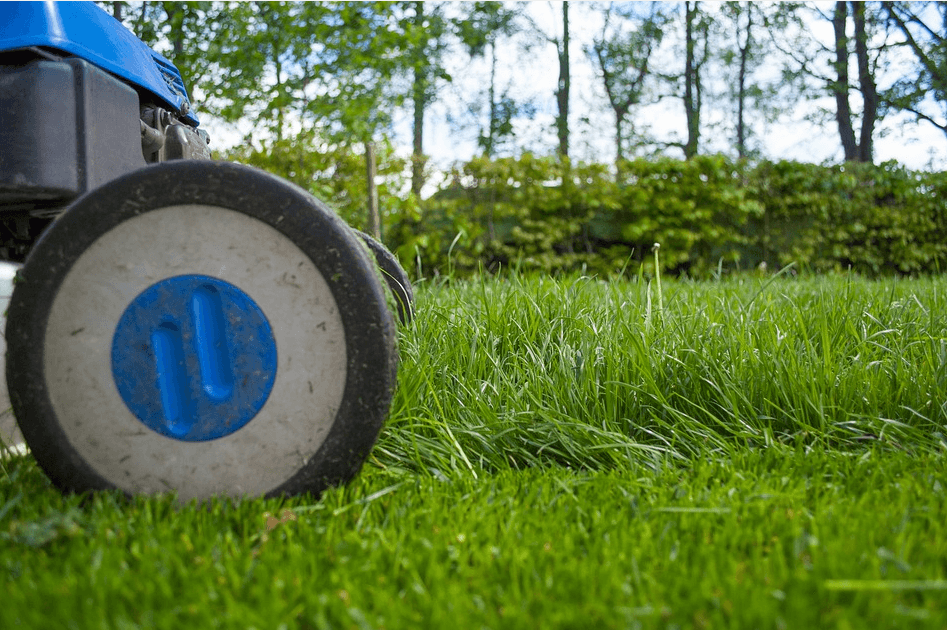 Logo NASCIMENTO JARDINAGEM