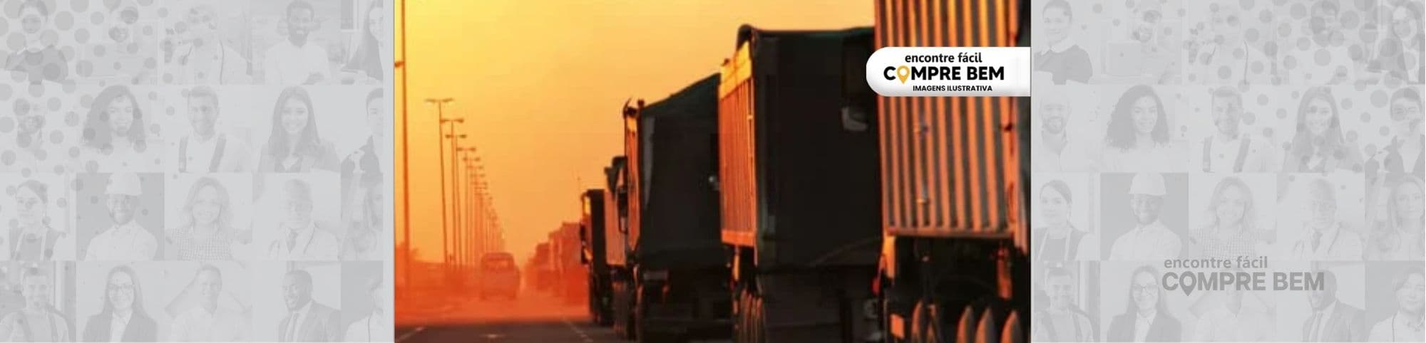 Logo TRANSPORTES - FELIPE BISPO