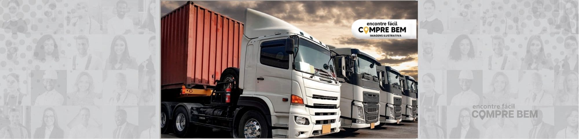 Logo TRANSPORTE-LAUDICEIA SILVA