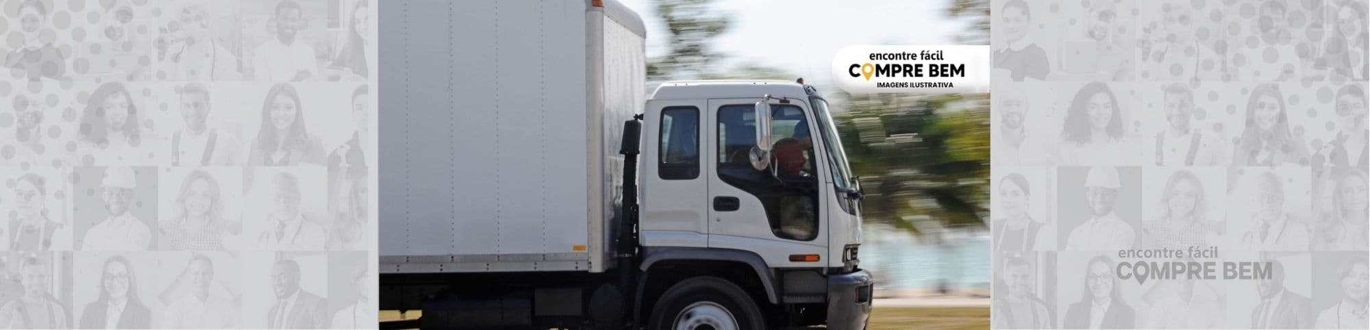 Logo MICHELE TRANSPORTES