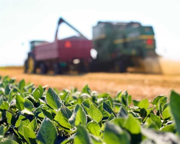 ASSOCIAÇÃO DO AGRICULTORES DE SERRA DOS VENTOS E ADJACENCIAS