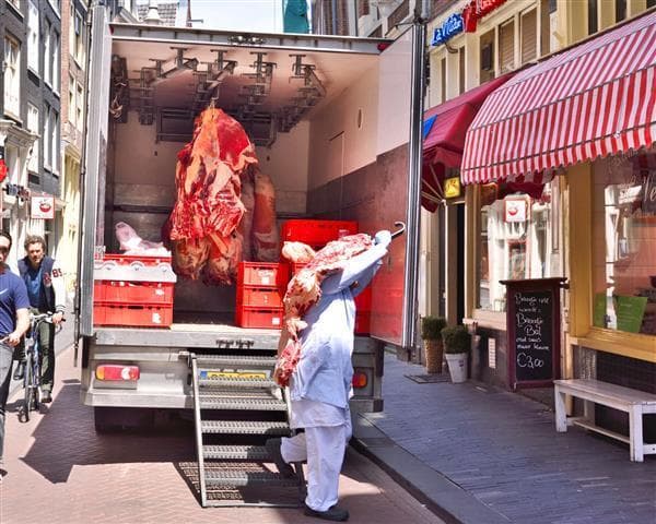 TRANSPORTE - DAVI