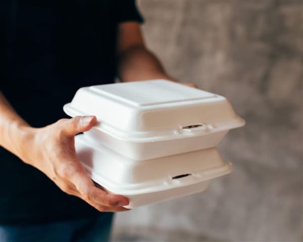 FORNECIMENTO DE ALIMENTOS - GIRLAINE