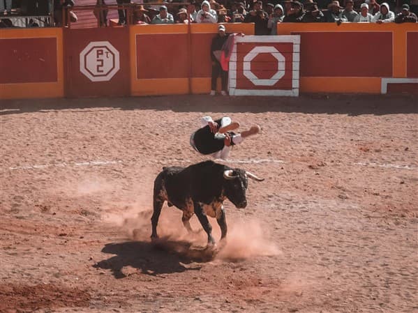 SÃO SEBASTIÃO PARK SHOW