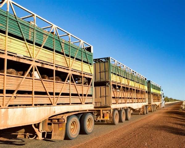 TRANSPORTE DE CARGAS